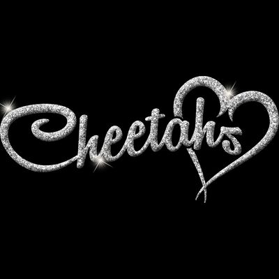 GLT6 SILVER GLITTER Thumbnail